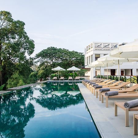 Treeline Urban Resort Siem Reap Exterior foto